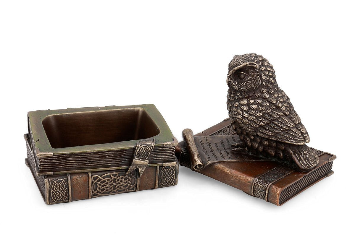 Owl showpiece with jewelry box DFCS102