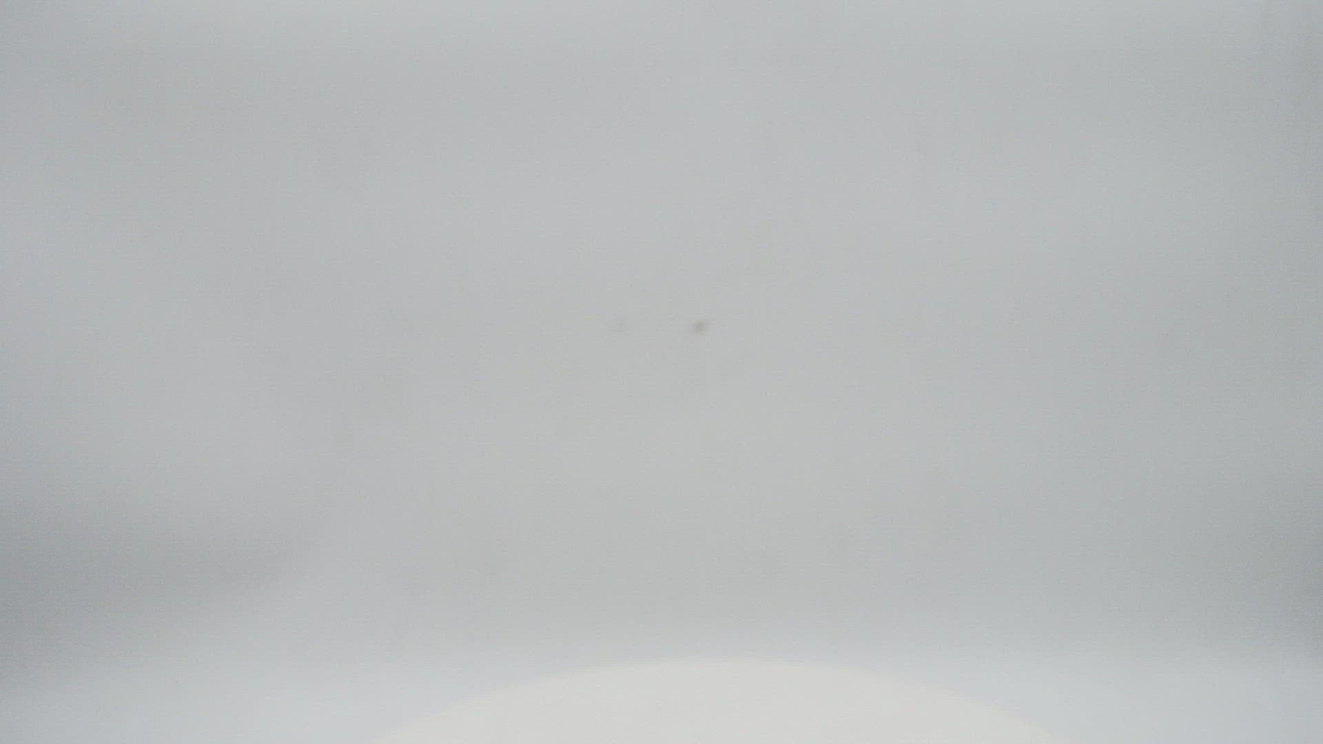 Handmade Metal Lion Decorative Showpiece Golden, Dfms388